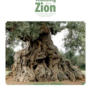 Netivyah Bible Instruction Ministry | Teaching From Zion 30: Messiah in the Siddur